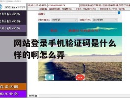网站登录手机验证码是什么样的啊怎么弄