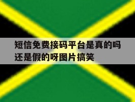 短信免费接码平台是真的吗还是假的呀图片搞笑的简单介绍