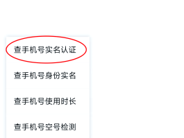 包含能收验证码的虚拟手机号码平台有哪些呢的词条
