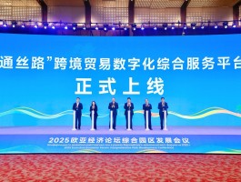 国内最大的接码平台是哪个公司的