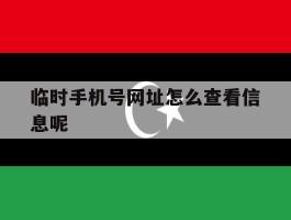 临时手机号网址怎么查看信息呢