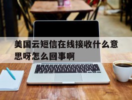 美国云短信在线接收什么意思呀怎么回事啊