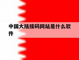 中国大陆接码网站是什么软件