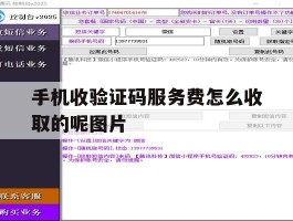 手机收验证码服务费怎么收取的呢图片的简单介绍