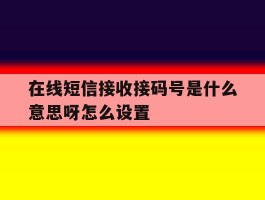 在线短信接收接码号是什么意思呀怎么设置