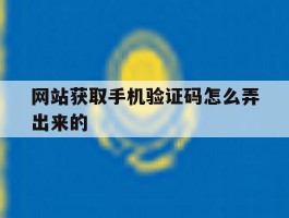 网站获取手机验证码怎么弄出来的