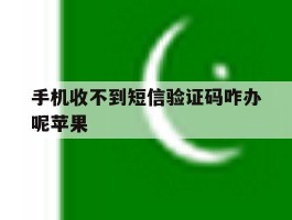手机收不到短信验证码咋办呢苹果
