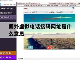 国外虚拟电话接码网址是什么意思