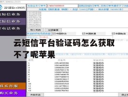 云短信平台验证码怎么获取不了呢苹果