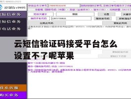 云短信验证码接受平台怎么设置不了呢苹果