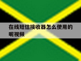 在线短信接收器怎么使用的呢视频