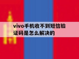 vivo手机收不到短信验证码是怎么解决的