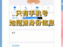 国内虚拟手机号码怎么查