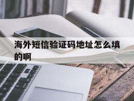 海外短信验证码地址怎么填的啊
