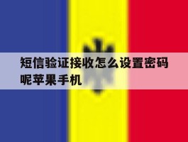 短信验证接收怎么设置密码呢苹果手机