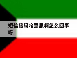 短信接码啥意思啊怎么回事呀