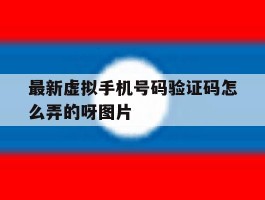 关于最新虚拟手机号码验证码怎么弄的呀图片的信息