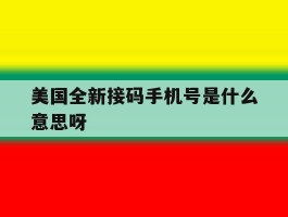 美国全新接码手机号是什么意思呀