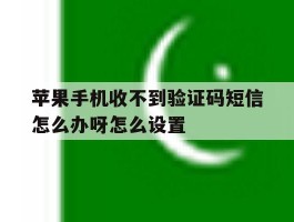 苹果手机收不到验证码短信怎么办呀怎么设置