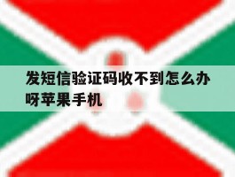 关于发短信验证码收不到怎么办呀苹果手机的信息