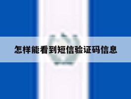 怎样能看到短信验证码信息