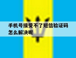 手机号接受不了短信验证码怎么解决呢