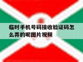 临时手机号码接收验证码怎么弄的呢图片视频