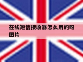 在线短信接收器怎么用的呀图片