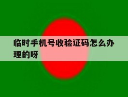 临时手机号收验证码怎么办理的呀