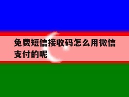 免费短信接收码怎么用微信支付的呢