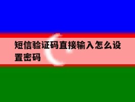 短信验证码直接输入怎么设置密码