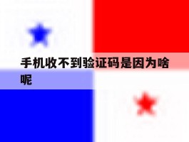 手机收不到验证码是因为啥呢