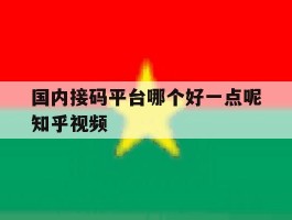 国内接码平台哪个好一点呢知乎视频