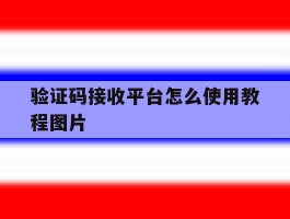 验证码接收平台怎么使用教程图片