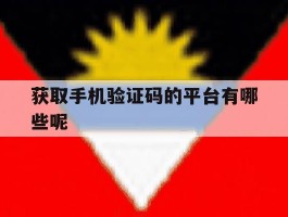 获取手机验证码的平台有哪些呢