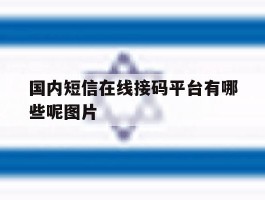 国内短信在线接码平台有哪些呢图片