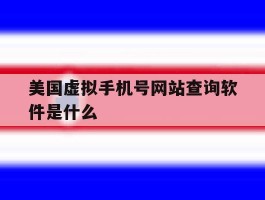 美国虚拟手机号网站查询软件是什么