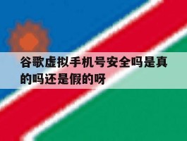 关于谷歌虚拟手机号安全吗是真的吗还是假的呀的信息