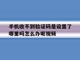 手机收不到验证码是设置了哪里吗怎么办呢视频的简单介绍