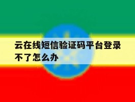 云在线短信验证码平台登录不了怎么办