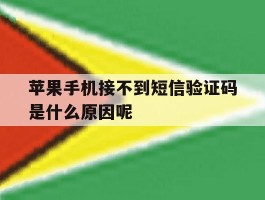 苹果手机接不到短信验证码是什么原因呢