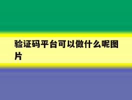 验证码平台可以做什么呢图片