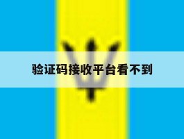 验证码接收平台看不到