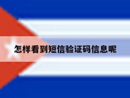 怎样看到短信验证码信息呢