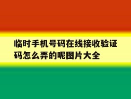 关于临时手机号码在线接收验证码怎么弄的呢图片大全的信息