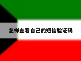 怎样查看自己的短信验证码