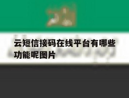 云短信接码在线平台有哪些功能呢图片