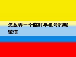 包含怎么弄一个临时手机号码呢微信的词条
