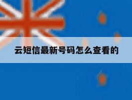 云短信最新号码怎么查看的