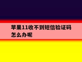 苹果11收不到短信验证码怎么办呢